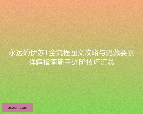 永远的伊苏1全流程图文攻略与隐藏要素详解指南新手进阶技巧汇总